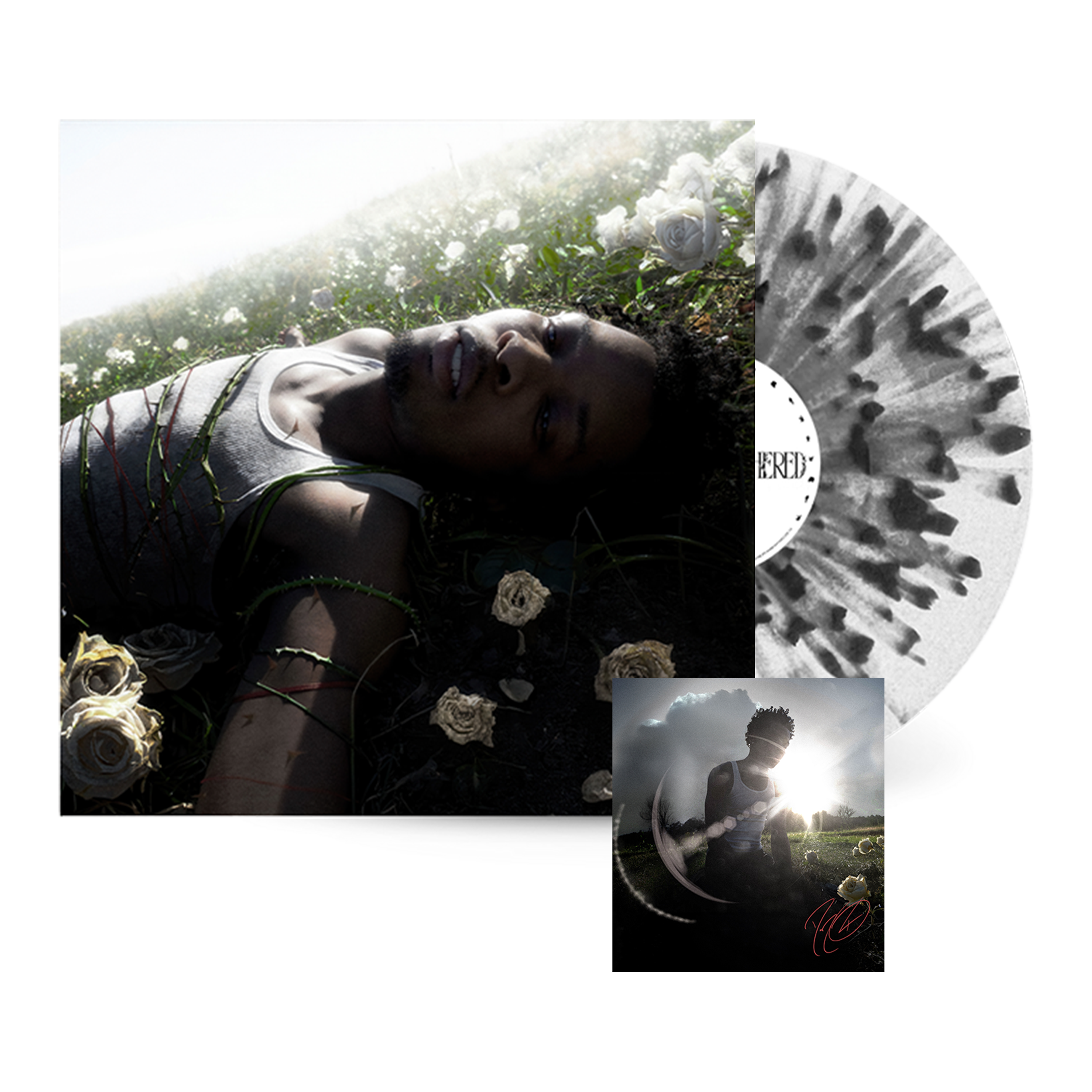 WITHERED Store Exclusive Splatter Vinyl + Signed Art Card - D4vd UK