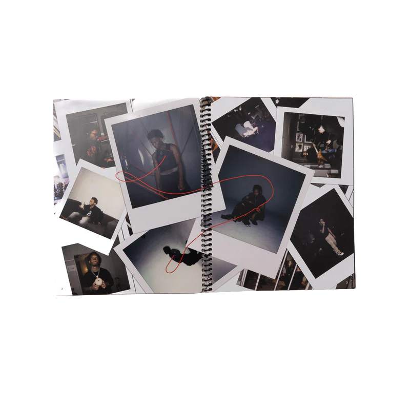 D4vd - The Withered Scrapbook